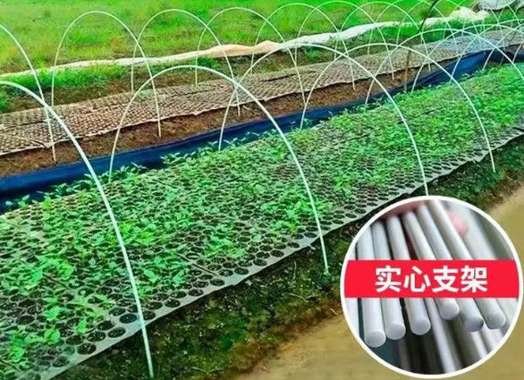 ग्रीन हाउस प्लांटिंग के लिए 10 मिमी फाइबर प्रबलित प्लास्टिक रॉड लचीली फाइबरग्लास रॉड